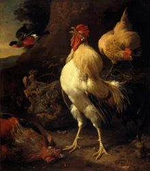 M. de Hondecoeter, Siegreicher Hahn